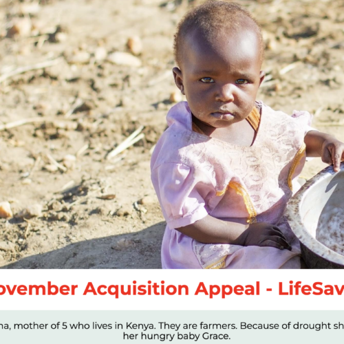 November 2023 Acquisition - Key Words: Penna, baby Grace